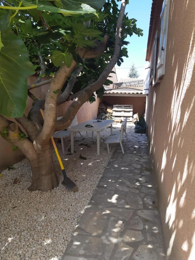 Le Clos D'Amandine Διαμέρισμα Sallèles-dʼAude Εξωτερικό φωτογραφία